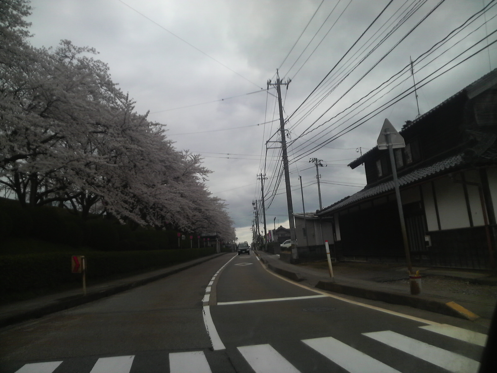 2010041513160000