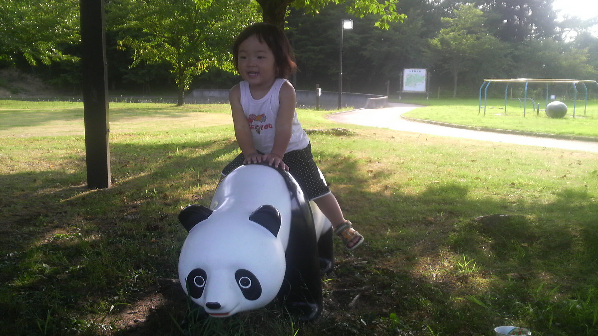 2011081216360000