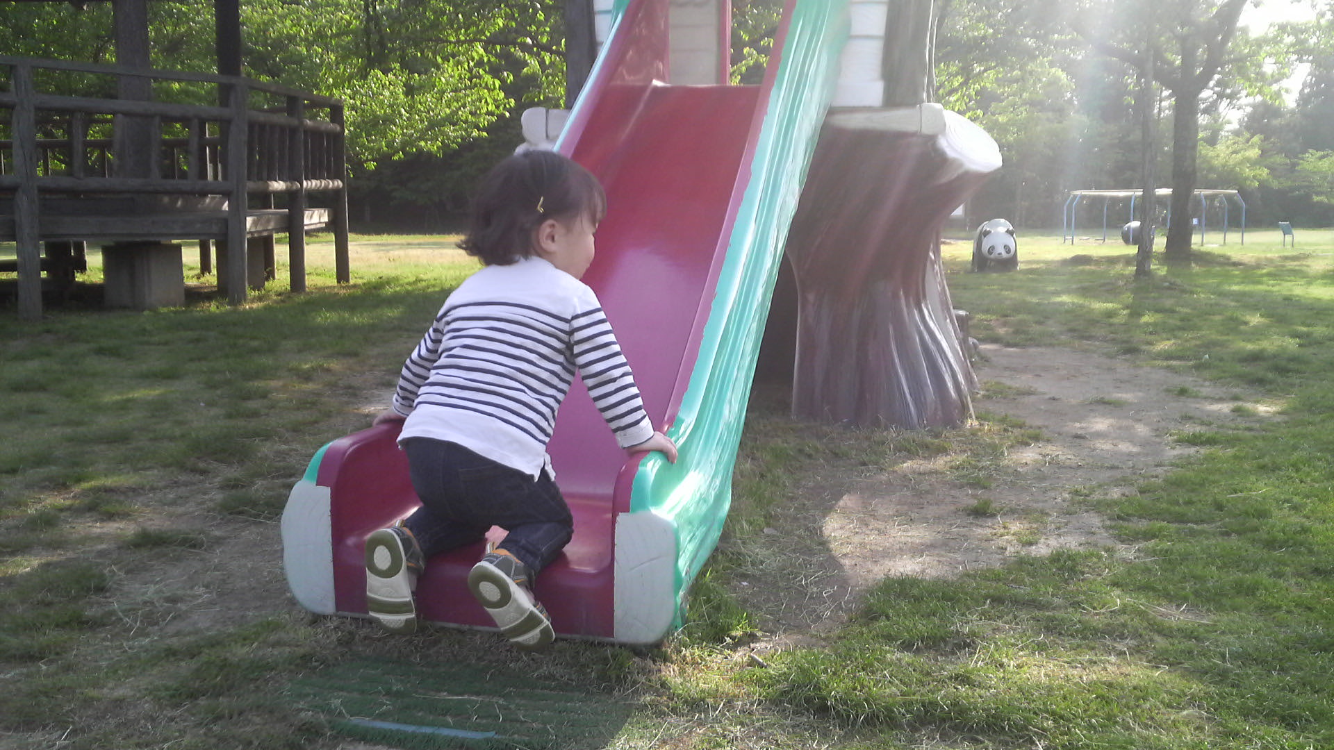2011051416290001