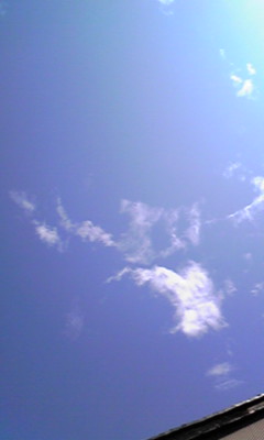 080905_0953~01